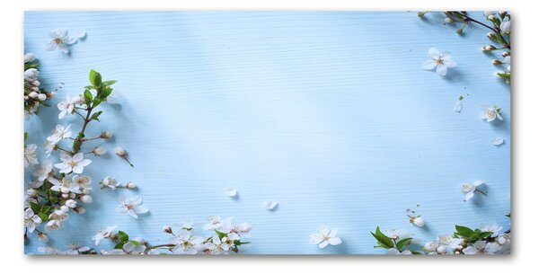 Foto obraz fotografie na skle Kvety višne pozadia