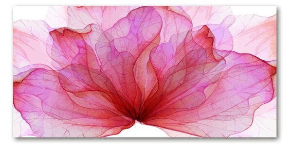 Foto obraz sklo tvrzené ružová kvetina osh-98648030