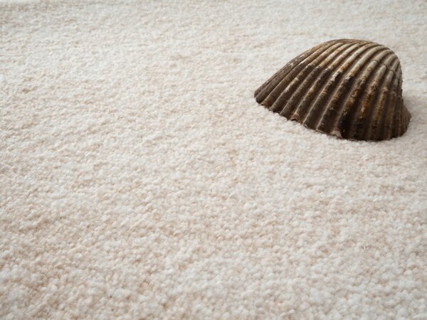 Condor Carpets, Metrážny koberec Serena 6612, na mieru, šíře 4m,5m, béžová, filc, obývacia izba