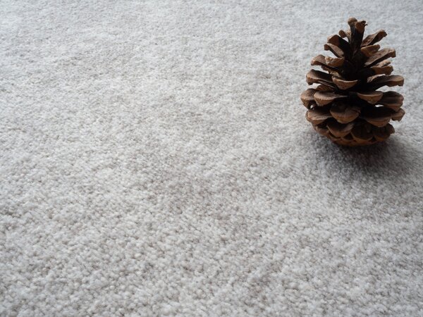 Condor Carpets , Metrážny koberec Serena 6631, na mieru, šíře 4m,5m, šedá, filc, obývacia izba