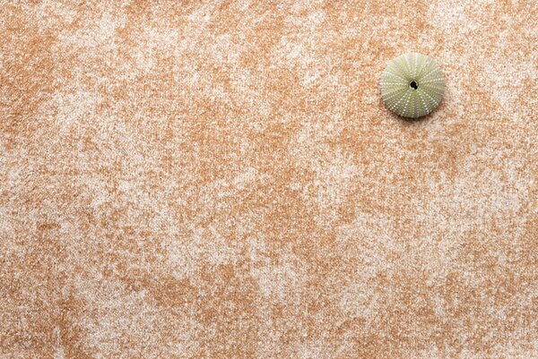 Condor Carpets , Metrážny koberec Serena 6632, na mieru, šíře 4m,5m, oranžová, filc, obývacia izba