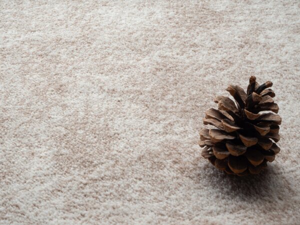 Condor Carpets , Metrážny koberec Serena 6622, na mieru, šíře 4m,5m, béžová, filc, detská izba
