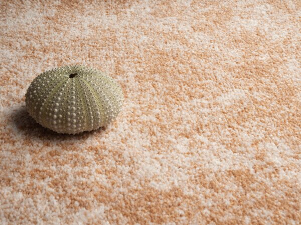 Condor Carpets , Metrážny koberec Serena 6632, na mieru, šíře 4m,5m, oranžová, filc, obývacia izba