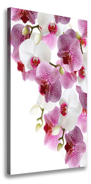 Vertikálny foto obraz na plátne do obývačky Orchidea