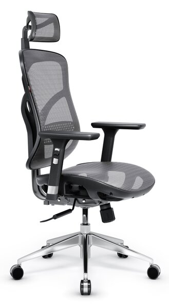 Kancelárska ergonomická stolička Diablo V-Basic, čierno-šedá