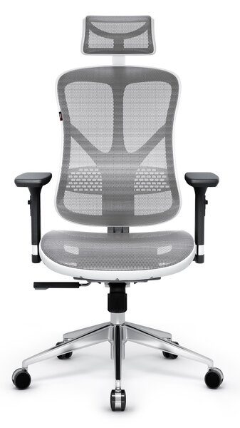 Kancelárska ergonomická stolička Diablo V-Basic, bielo-šedá