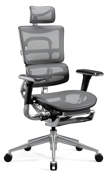 Kancelárska ergonomická stolička Diablo V-Master, čierno-šedá