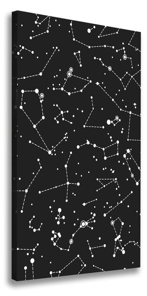 Vertikálny foto obraz canvas Hviezdokopa ocv-115489361
