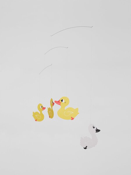 Kinet The Ugly Duckling