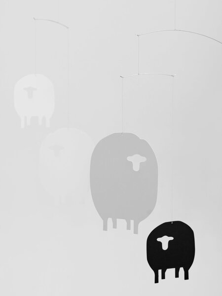 Kinet Sheep
