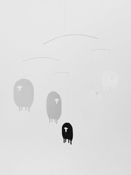 Kinet Sheep