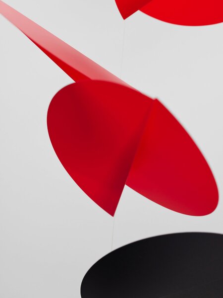 Kinet Turning Leaves, Black & Red
