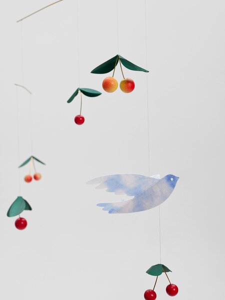 Kinet Cherry Bird
