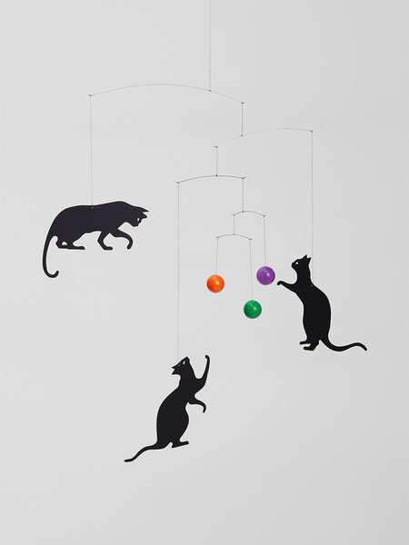 Kinet Feline Cats