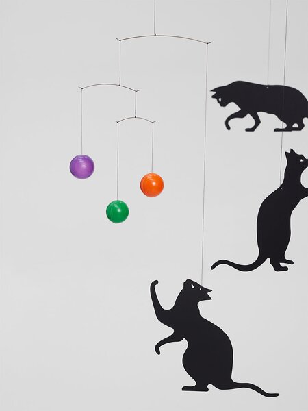 Kinet Feline Cats