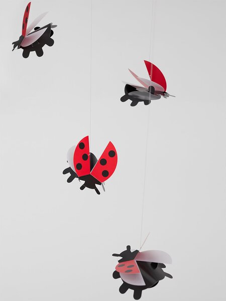 Kinet Lady Bird