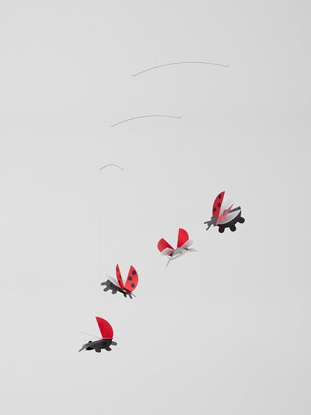 Kinet Lady Bird