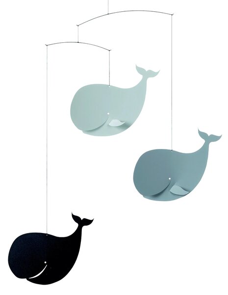 Kinet Happy Whales