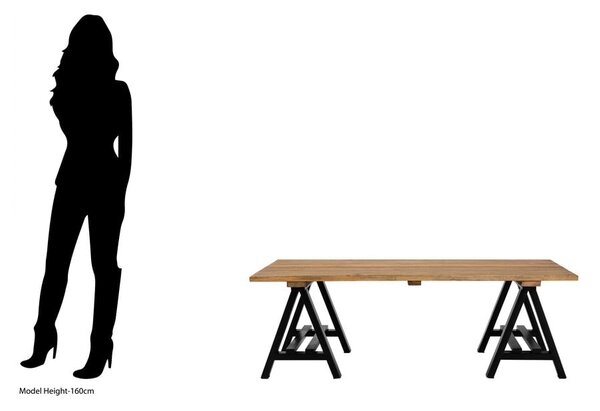 Konferenčný stolík s doskou z borovicového dreva v prírodnej farbe 80x140 cm Hampstead – Premier Housewares