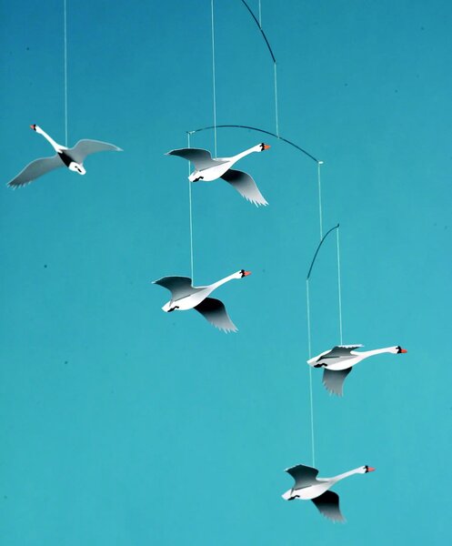 Kinet Scandinavian Swans