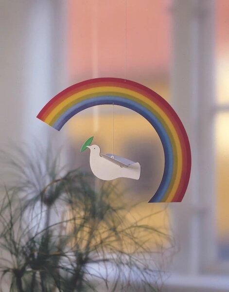 Kinet Noah´s Rainbow