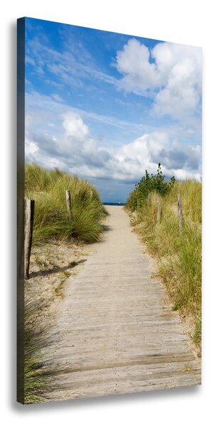 Vertikálny foto obraz na plátne Chodník na pláž