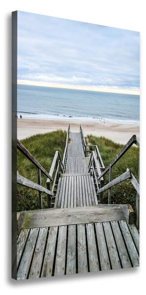Vertikálny foto obraz na plátne Chodník na pláž