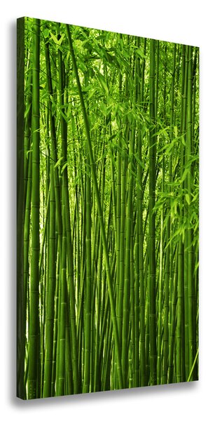Vertikálny foto-obraz canvas do obývačky Bambusový les