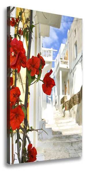 Vertikálny foto obraz na plátne Mykonos Řecko ocv-2987309