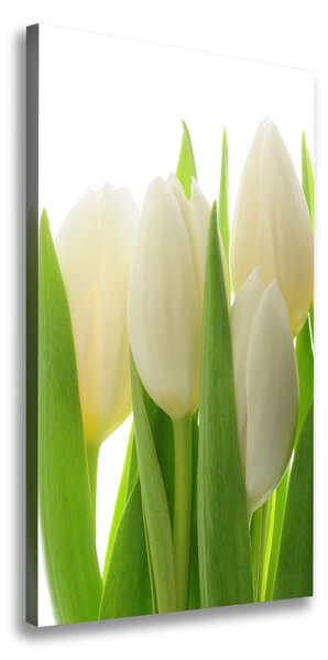 Vertikálny foto obraz na plátne Biele tulipány