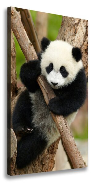 Vertikálny foto obraz na plátne Panda na strome