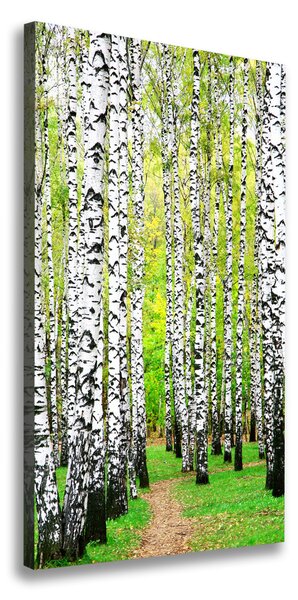 Vertikálny foto obraz canvas Brezový les ocv-45594728