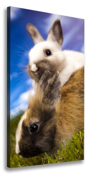 Vertikálny foto obraz na plátne do obývačky Dva králiky