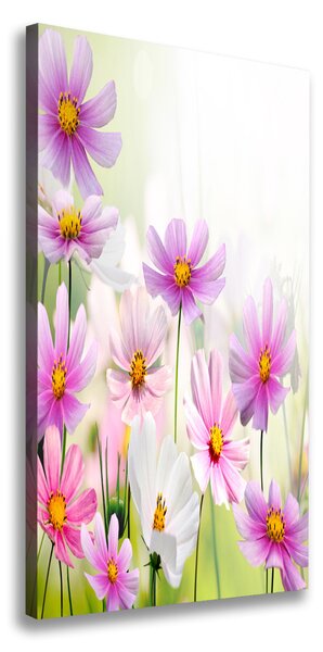 Vertikálny foto obraz canvas Poľné kvety ocv-49015861