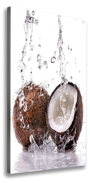 Vertikálny foto obraz tlačený na plátne Kokos