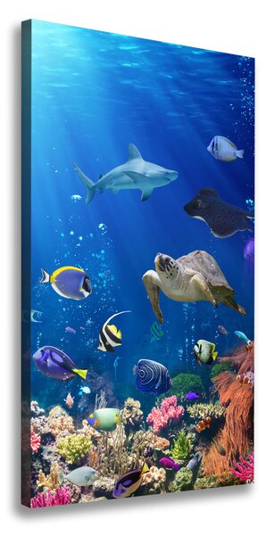 Vertikálny foto obraz canvas Koralový útes ocv-61347812