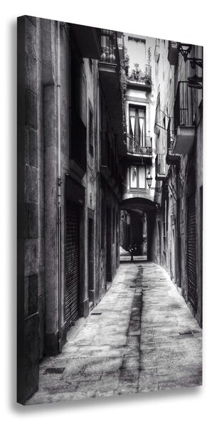 Vertikálny foto obraz na plátne Barcelona Španielsko