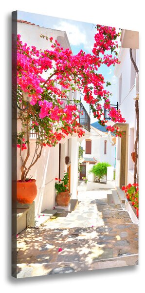 Vertikálny foto obraz na plátne Grécke ulice ocv-63218536