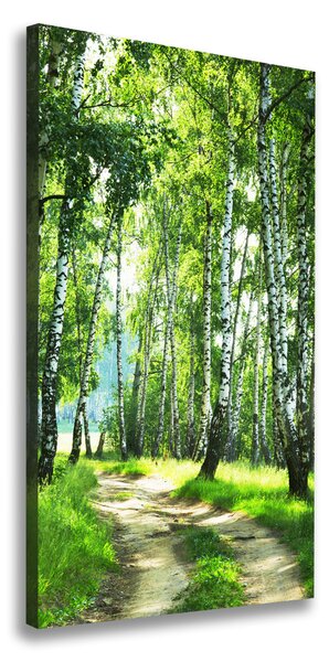 Vertikálny foto obraz canvas Brezový les ocv-66218016