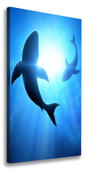 Vertikálny foto obraz na plátne Siluety žralokov