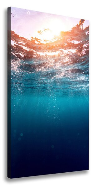 Vertikálny foto obraz na plátne do obývačky Pod vodou