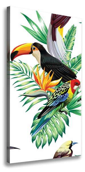Vertikálny foto obraz na plátne Tropické vtáky