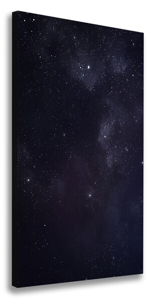 Vertikálny foto obraz canvas Hviezdokopa ocv-90324479