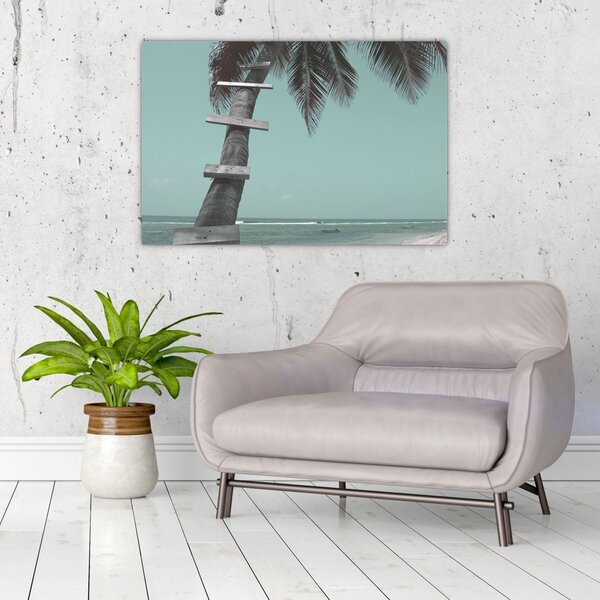 Obraz - Palma v Karibiku (90x60 cm)