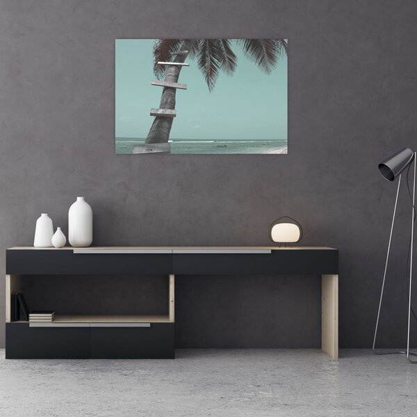 Obraz - Palma v Karibiku (90x60 cm)
