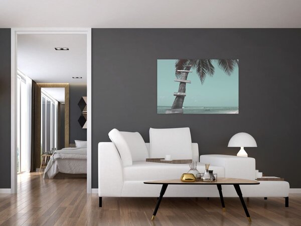 Obraz - Palma v Karibiku (90x60 cm)