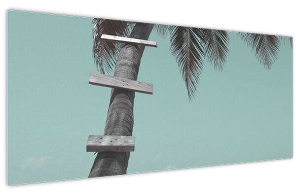 Obraz - Palma v Karibiku (120x50 cm)