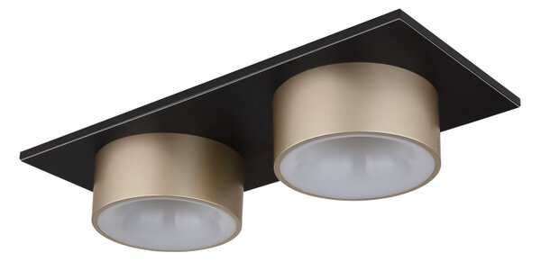 GLOBO 56964-2 RAYMOND stropné svietidlo LED 24W 2900/1000lm 3000K čierna, champagne