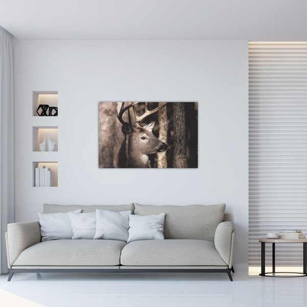 Obraz - Jeleň v lese (90x60 cm)
