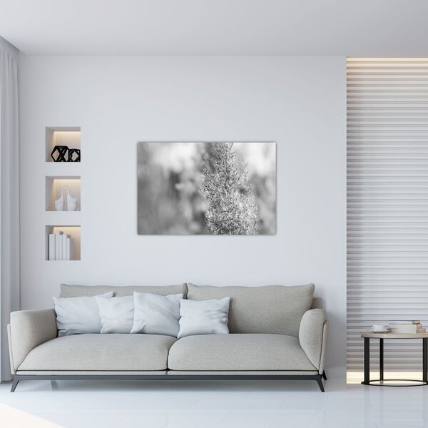 Obraz - Boho pampas grass (90x60 cm)